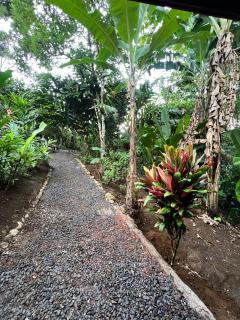Arenal Rústic Lodge - Fortuna - 2
