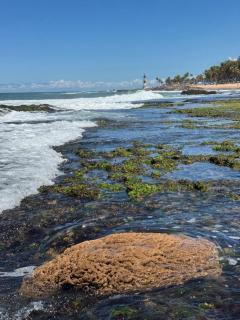 Samba Villa da Praia - 4