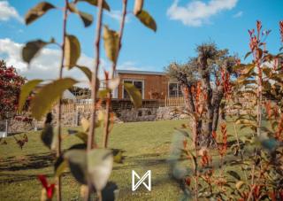 MyStay - Bungalow in Quinta dos Sobrais - Valença - 8