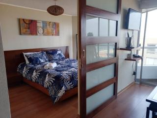 Panoramic Elegante departamento - 1