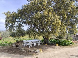 Blue&YellowHouse - 1