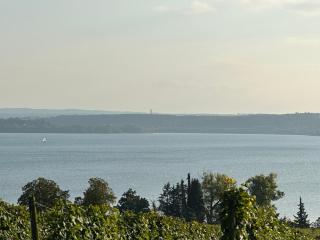 Kevins Ferienwohnungen Uhldingen-Mühlhofen - 9