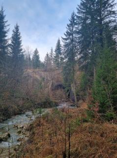 Appartement neuf et confortable dans le Haut Jura - Lac des Rouges Truites - 2