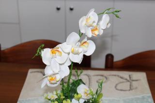 Nova Apartments - Saranda - 5