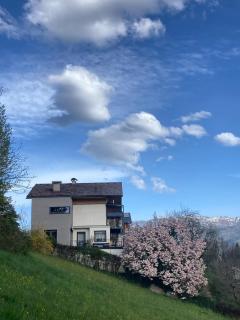 Wolfgangsee Appartment - St. Wolfgang im Salzkammergut - 9