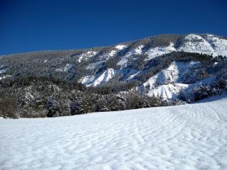 Verdon Nature - Lambruisse - 3