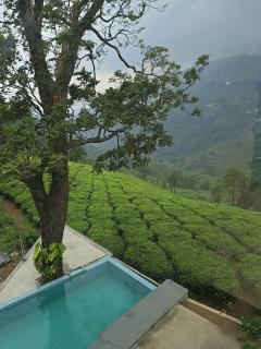 BEAUTY SPOT MUNNAR - Munnar - 1