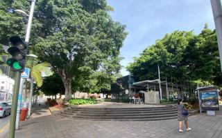 Urban, Quiet flat for Digital & Remote Nomads - Santa Cruz de Tenerife - 9