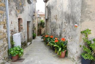 Appartamenti Le Giare Cannicchio - 8