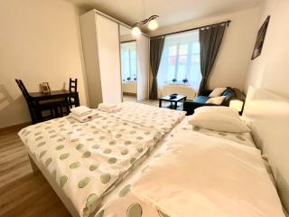 Central Accommodation Angel - Prague - 9