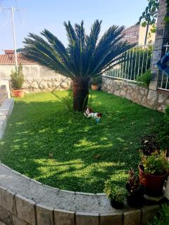 Apartment Cupic - Dubrovnik - 6