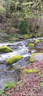 Gîte le Calsou 3 ch 6pers MontagneNoire jardin rivière - Caudebronde - 9