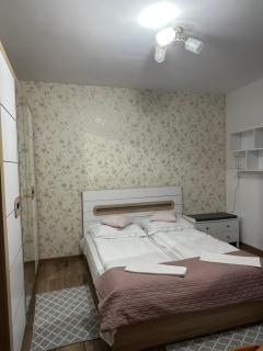 Apartament de închiriat - Borsec - 9
