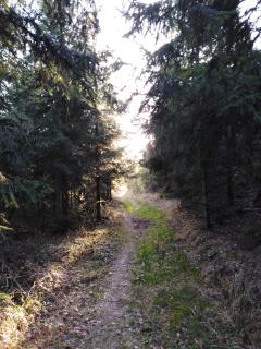 Chata Pod Kapličkou - Rajnochovice - 2