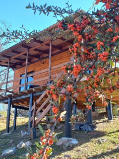 La Maruca Country Cabin, Calamuchita Valley CBA - San Pedro - 8