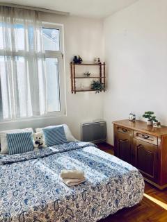 Apartman Igor 2 - Belgrado - 2