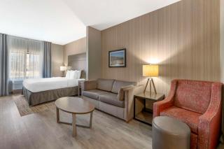 Best Western Plus LaCrescent - LaCrosse - La Crescent - 5