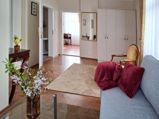 Villa Patriot Apartmány - Marienbad - 4