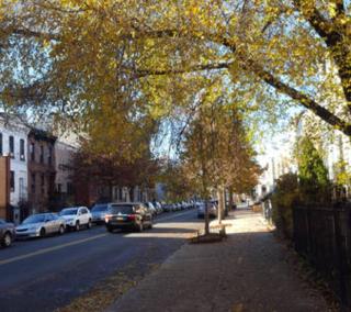 Skylighted Two BR in Multicultural Neighborhood, 25 minutes to Manhattan - 2