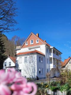 Haus Am Beckerberg im Harz - Bad Grund - 0