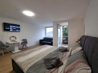 J&L Flat with Pool in Baiersbronn - Baiersbronn - 3