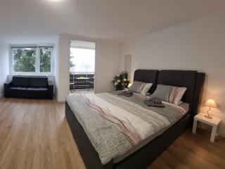 J&L Flat with Pool in Baiersbronn - Baiersbronn - 4