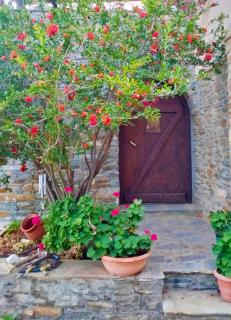 Πέτρινο - Città di Tinos - 0