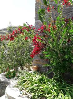 Πέτρινο - Città di Tinos - 3