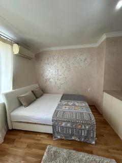 Apartment Marina - Aranđelovac - 9