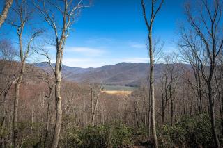 Luxury Log Cabin with lake view - Black Mountain - 6