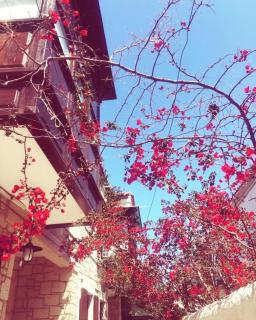 Alayaz Hotel - Alaçatı - 5