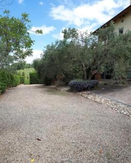 Chianti Holidays, Il Poggetto da Alfina - Tavarnelle Val di Pesa - 6
