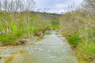 Peaceful Home with Patio on 30 Acres in Coxs Creek! - 8