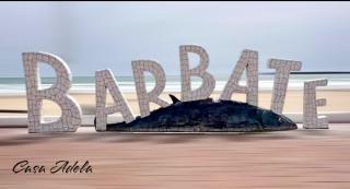 Casa Adela - Barbate - 8