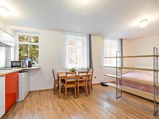 Cosy Studio in Vysehrad - Prague - 0
