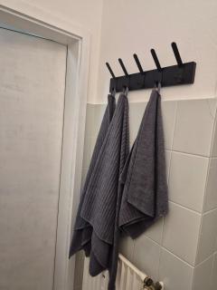 Light-flooded apartment with 2 great rooms - Ganderkesee - 2