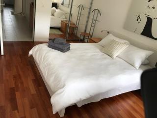 Modern and stylish Home in Muttenz - Muttenz - 1