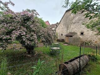 Grange rénovée dans cour privée avec jardin sur les remparts - Bergheim - 3