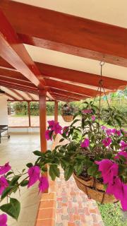 Fincahotel Montecristo Qbya - Quimbaya - 8