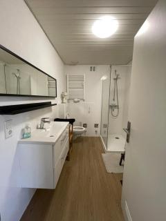 Helle geräumige Wohnung mit großer Dachterrasse - Saarbrücken - 2