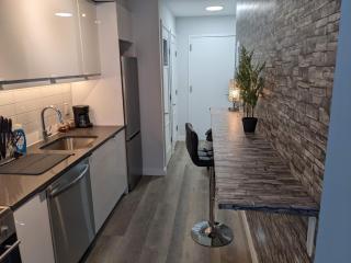 Beautiful 2 Bedroom Apt in downtown silverspring - 4