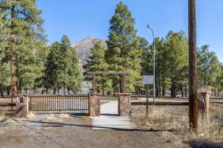 Relaxing Mountain Haven by Nature's Doorstep - Flagstaff - 1