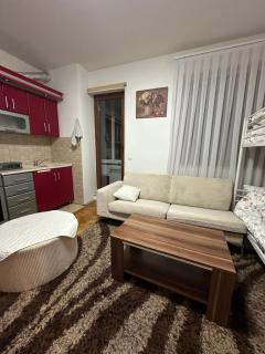 AnEdi Apartment in the Central of Prishtina - Pristina - 3