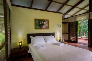 Cielo Verde Lodge - Mashpi - 8