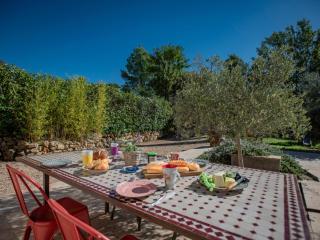 Plein Sud - Saint Antonin du Var - 5