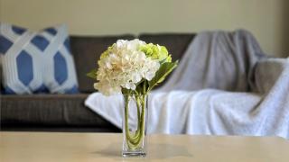 TOWER JUNCTION MOTOR LODGE- MOTEL with Airport and Railway Station Shuttle service- Best Location - close to Westfield Mall, Tower Junction Shopping Centre, Restaurants, Cafes etc - 2