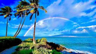1BR Kihei Condo Walk to Beaches Pool AC Sunset Wow - Kihei - 5