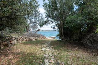 Secluded fisherman's cottage Zman, Dugi otok - 19000 - Žman - 4