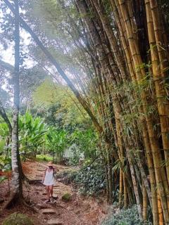 Acqua Jungle Lodge, Bangalô na selva - 6