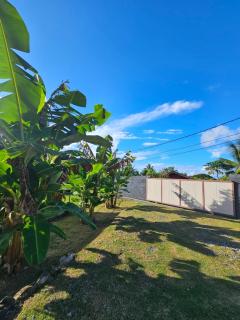 Sunrise Lodge - Uturoa - 7